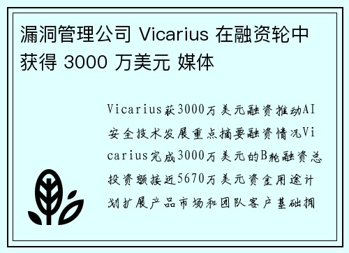 漏洞管理公司 Vicarius 在融资轮中获得 3000 万美元 媒体