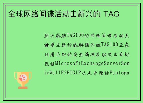 全球网络间谍活动由新兴的 TAG