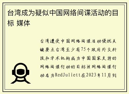 台湾成为疑似中国网络间谍活动的目标 媒体