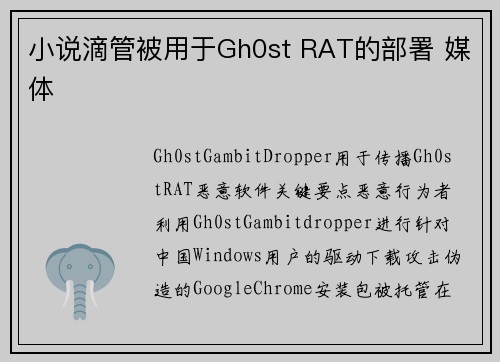 小说滴管被用于Gh0st RAT的部署 媒体